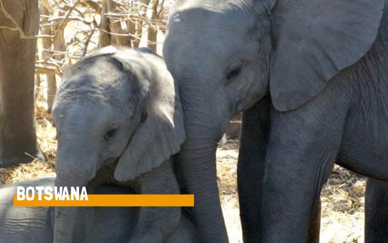 Botswana