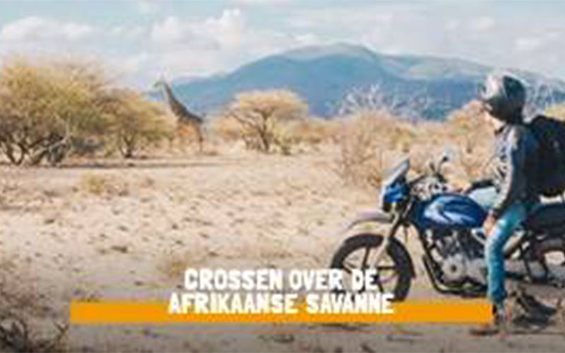 Crossen over de Afrikaanse savanne.jpg