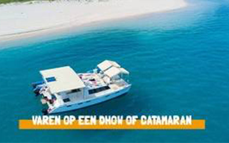 Varen op een dhow of catamara.jpg