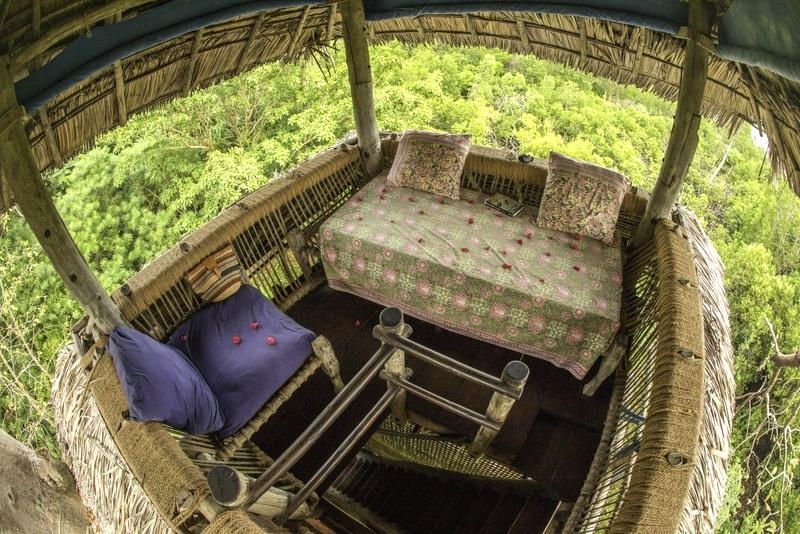 Tanzania treehouse