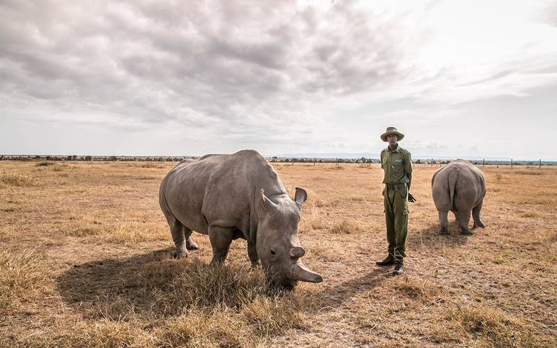 Ranger met neushoorn