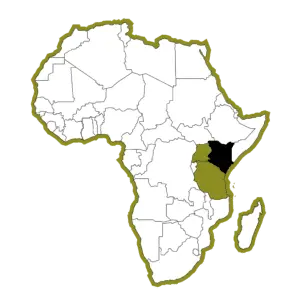 Bestemmingen-Afrika-Map Brenda Luande