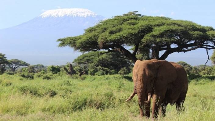 Kenya-Uganda-Amboseli-Kilimanjaro-Laysa Ben Aissa