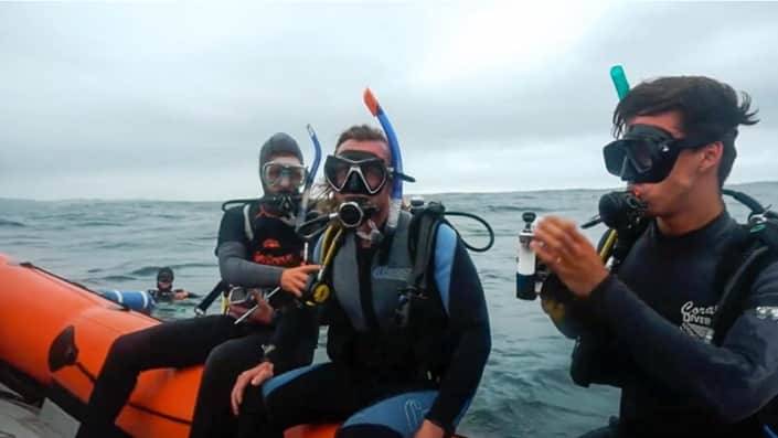 Mensen met snorkeluitrusting