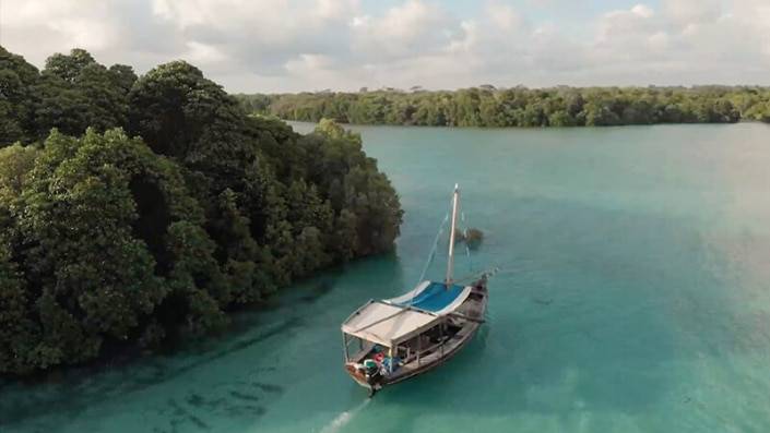 Dhow op een rivier tussen de bomen