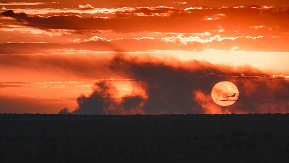 lumo-conservancy-beleef-je-eigen-lion-king-avontuur