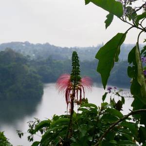 Oeganda-crater-lakes