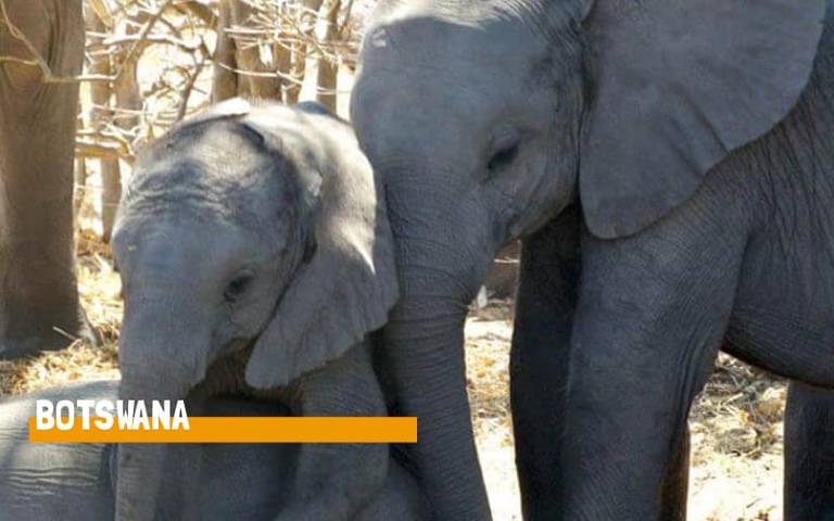 Botswana