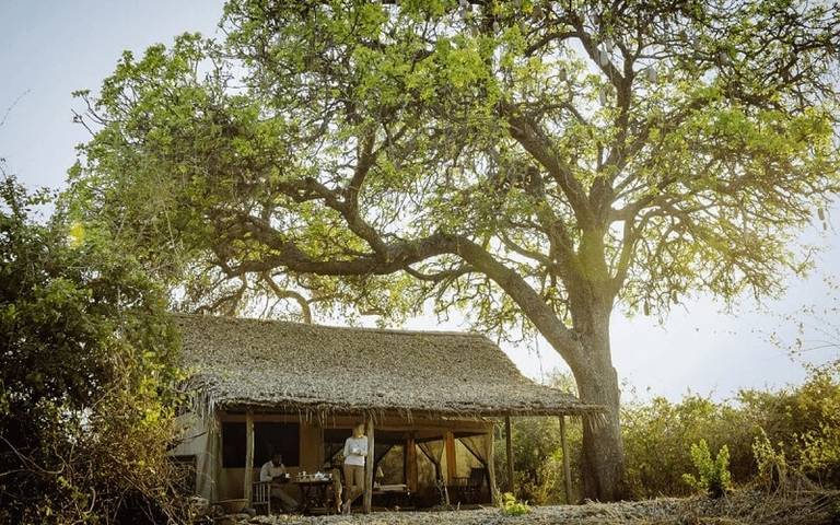 Kigelia-Ruaha
