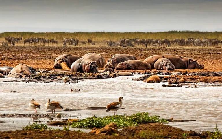 Lake Manyara