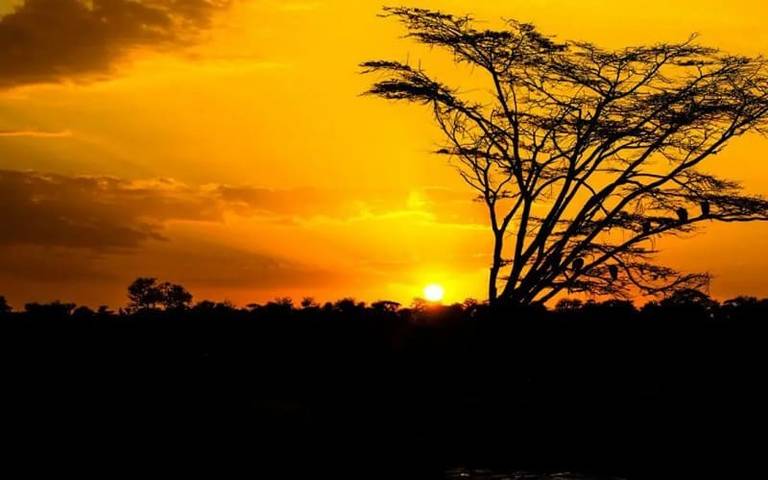 tarangire tanzania