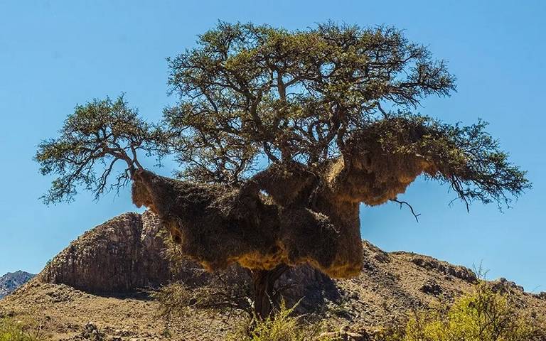 Kilmaat Namibie
