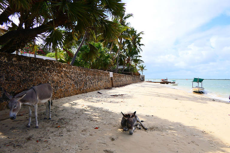 Lamu Strand-Emiel